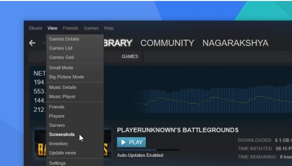 Steam screenshot