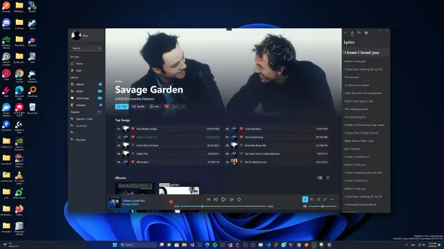 Spotify screenshot