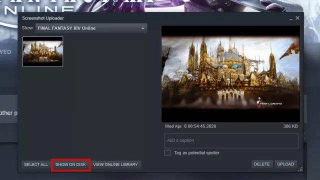 Steam screenshot
